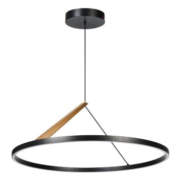 Rabalux - Lampadario LED a sospensione con cavo LED/40W/230V 3000K