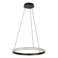 Rabalux - Lampadario LED a sospensione con filo LED/32W/230V 3000K