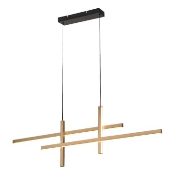 Rabalux - Lampadario LED a sospensione con filo LED/40W/230V 3000K