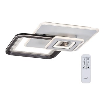 Rabalux - Lampadario LED dimmerabile a plafone LED/48W/230V 3000K/4000K/6000K + tc