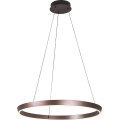 Rabalux - Lampadario LED dimmerabile a sospensione con cavo LED/36W/230V 3000-6500K + telecomando