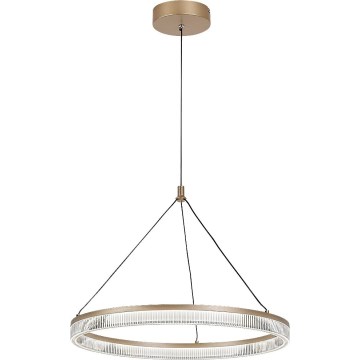 Rabalux - Lampadario LED dimmerabile a sospensione su cavo LED/24W/230V 3000-6500K + telecomando