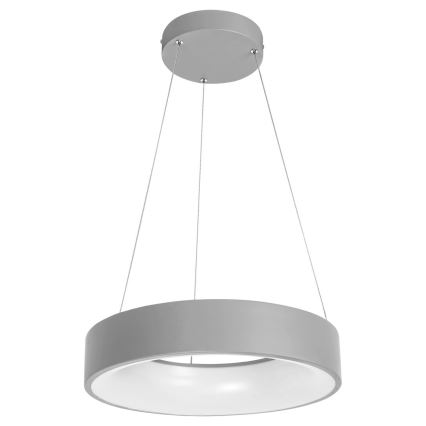 Rabalux - Lampadario LED dimmerabile su filo LED/24W/230V tondo + TC 3000-6000K