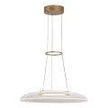 Rabalux - Lampadario LED sospeso con cavo LED/24W/230V 3000K