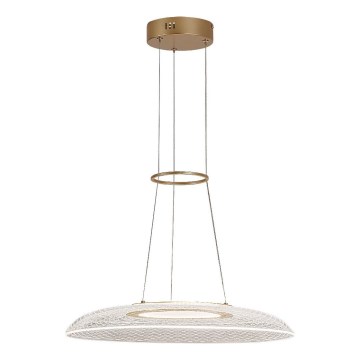 Rabalux - Lampadario LED sospeso con cavo LED/24W/230V 3000K