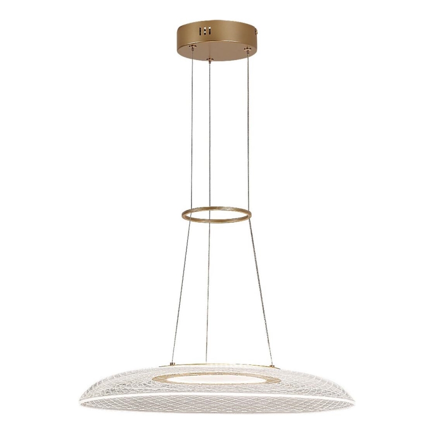 Rabalux - Lampadario LED sospeso con cavo LED/24W/230V 3000K