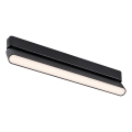Rabalux - LED Plafoniera per binario monofase LED/16W/24V 3000K 33 cm nero