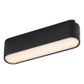 Rabalux - LED Plafoniera per binario monofase LED/6W/230V 3000K 11,5 cm nero
