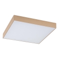 Rabalux - Plafoniera da bagno a LED/24W/230V 2800/4000/6000K IP44