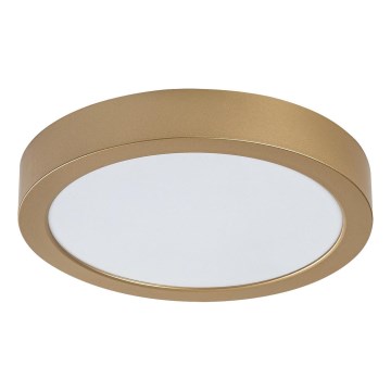 Rabalux - Plafoniera da bagno LED 24W 230V Ø 22 cm IP44, finitura oro