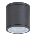 Rabalux - Plafoniera da esterno 1xGU10/35W/230V IP54