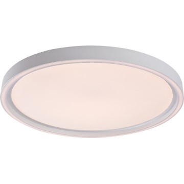 Rabalux - Plafoniera da soffitto dimmerabile a LED 31W/230V IP40 3000-6500K Ø 41,5 cm + telecomando