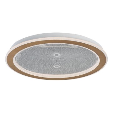 Rabalux - Plafoniera da soffitto dimmerabile LED/34W/230V 3000-6500K Ø 51 cm + telecomando