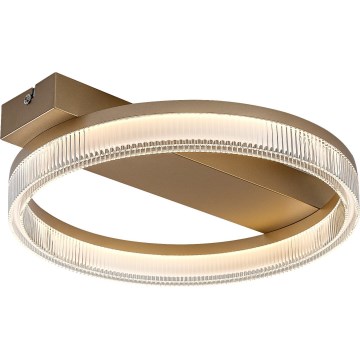Rabalux - Plafoniera da soffitto LED dimmerabile LED/18W/230V 3000-6500K 37x33 cm + telecomando