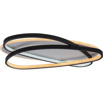 Rabalux - Plafoniera dimmerabile LED/57W/230V 3000-6000K 53x38 cm + telecomando