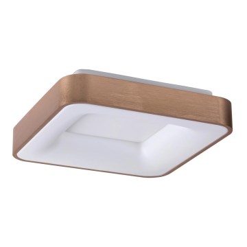 Rabalux - Plafoniera LED CARMELA LED/30W/230V 40x40 cm
