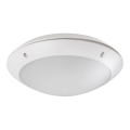 Rabalux - Plafoniera LED da esterno LED/12W/230V