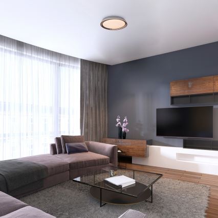 Rabalux - Plafoniera LED dimmerabile LED/36W/230V Ø 51,5 cm