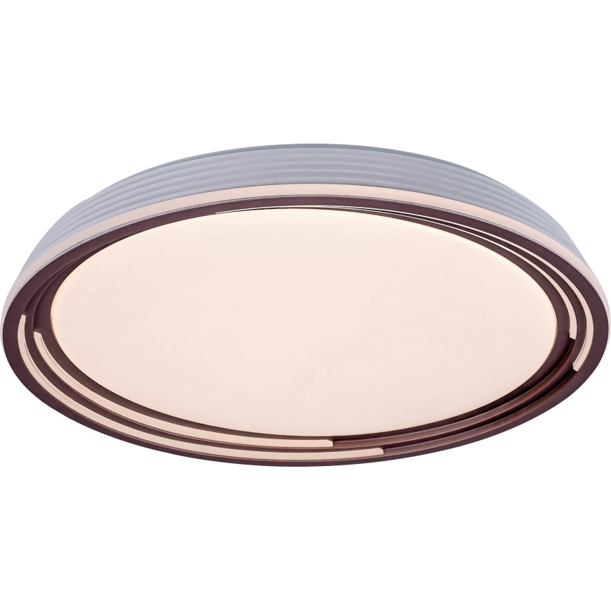 Rabalux - Plafoniera LED dimmerabile LED/36W/230V Ø 51,5 cm