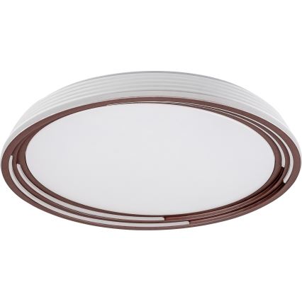 Rabalux - Plafoniera LED dimmerabile LED/36W/230V Ø 51,5 cm
