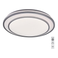 Rabalux - Plafoniera LED dimmerabile, 40 W, 230 V, 3000–6500 K, finitura argento, Ø 49 cm, con telecomando