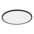 Rabalux - Plafoniera LED dimmerabile LED/22W/230V 3000K 42 cm