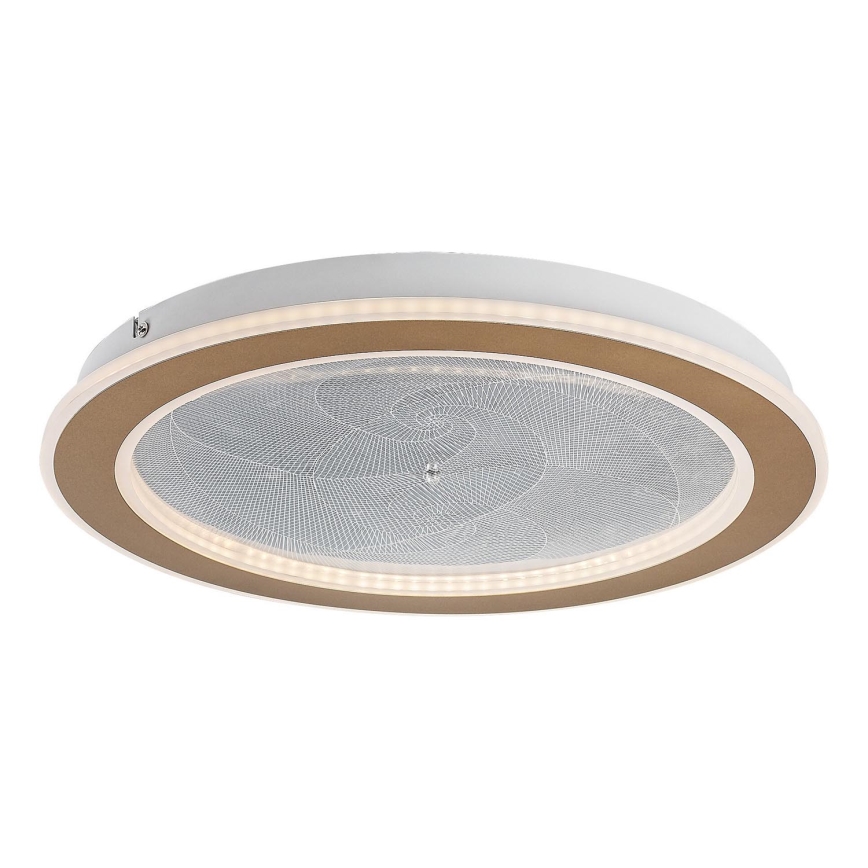 Rabalux - Plafoniera LED dimmerabile LED/24W/230V 3000-6500K Ø 40 cm + telecomando