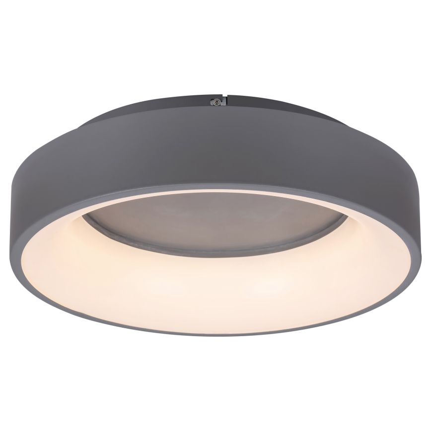 Rabalux - Plafoniera LED dimmerabile LED/24W/230V arrotondato 3000-6000K + telecomando