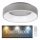 Rabalux - Plafoniera LED dimmerabile LED/24W/230V arrotondato 3000-6000K + telecomando