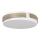 Rabalux - Plafoniera LED dimmerabile LED/24W/230V