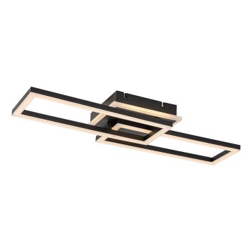 Rabalux - Plafoniera LED dimmerabile LED/30W/230V 3000-6500K + telecomando
