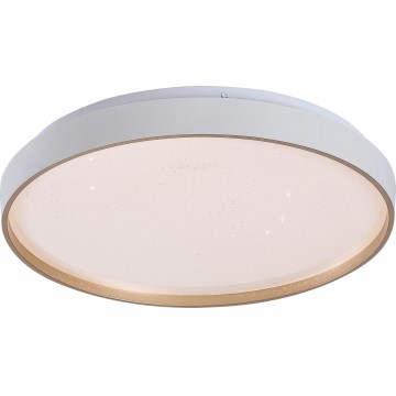 Rabalux - Plafoniera LED dimmerabile LED/34W/230V 3000-6500K Ø 38 cm + telecomando
