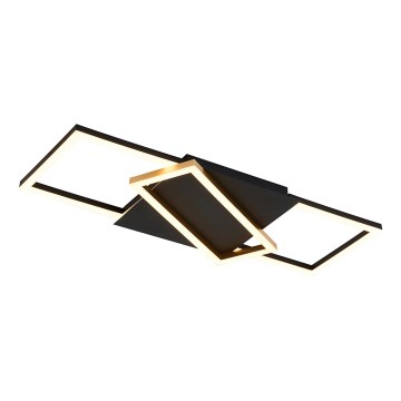 Rabalux - Plafoniera LED dimmerabile LED/40W/230V 3000-6500K + telecomando