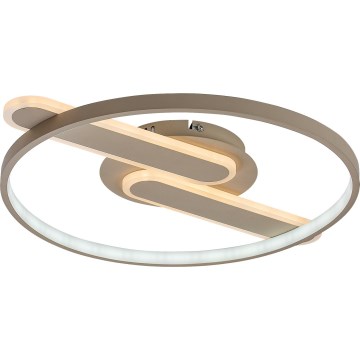 Rabalux - Plafoniera LED dimmerabile LED/55W/230V 3000-6000K 53x45 cm + telecomando