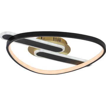Rabalux - Plafoniera LED dimmerabile LED/60W/230V 3000-6000K 53x45 cm + telecomando
