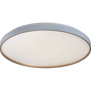 Rabalux - Plafoniera LED dimmerabile LED/60W/230V 3000-6500K Ø 58 cm + telecomando