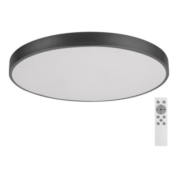 Rabalux - Plafoniera LED dimmerabile LED/60W/230V 60 cm + telecomando