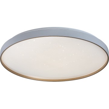 Rabalux - Plafoniera LED dimmerabile LED/80W/230V 3000-6500K Ø 77 cm + telecomando