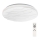Rabalux - Plafoniera LED dimmerabile telecomandata LED/50W/230V