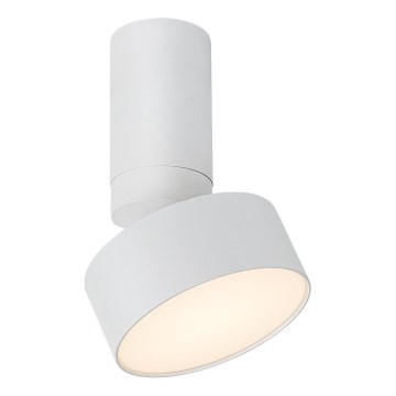 Rabalux - Plafoniera LED LED/10W/230V 3000K bianco