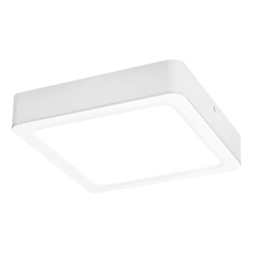 Rabalux - Plafoniera LED LED/15W/230V 4000K 16x16 cm bianco