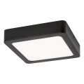 Rabalux - Plafoniera LED LED/15W/230V 4000K 16x16 cm nero