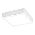 Rabalux - Plafoniera LED LED/18W/230V 17x17 cm