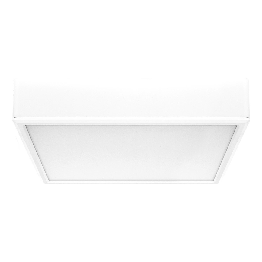 Rabalux - Plafoniera LED LED/22W/230V 3000/4000/6000K 21x21 cm bianco