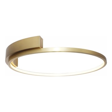 Rabalux - Plafoniera LED LED/23W/230V