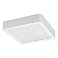 Rabalux - Plafoniera LED LED/24W/230V 3000K 22x22 cm bianco