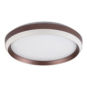 Rabalux - Plafoniera LED LED/24W/230V 3000K