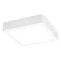 Rabalux - Plafoniera LED LED/24W/230V 4000K 22x22 cm bianco