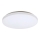 Rabalux - Plafoniera LED LED/32W/230V