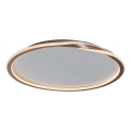 Rabalux - Plafoniera LED LED/40W/230V diametro 56 cm oro